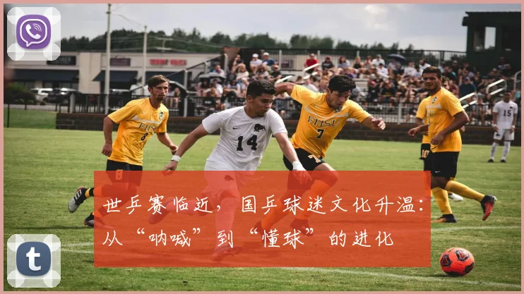 世乒赛临近，国乒球迷文化升温：从“呐喊”到“懂球”的进化