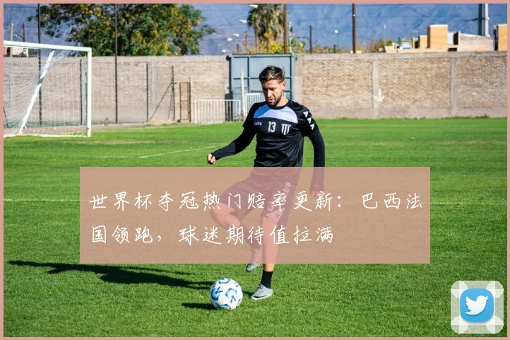 世界杯夺冠热门赔率更新：巴西法国领跑，球迷期待值拉满
