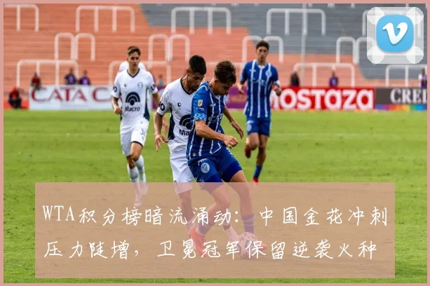 WTA积分榜暗流涌动：中国金花冲刺压力陡增，卫冕冠军保留逆袭火种